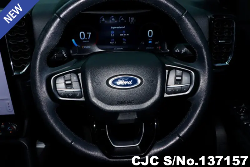 Ford Everest in Brown for Sale Image 11