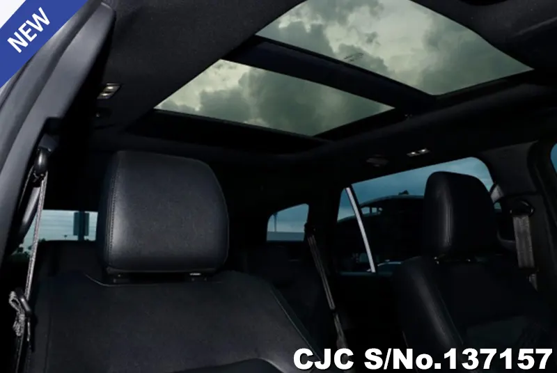 Ford Everest in Brown for Sale Image 13