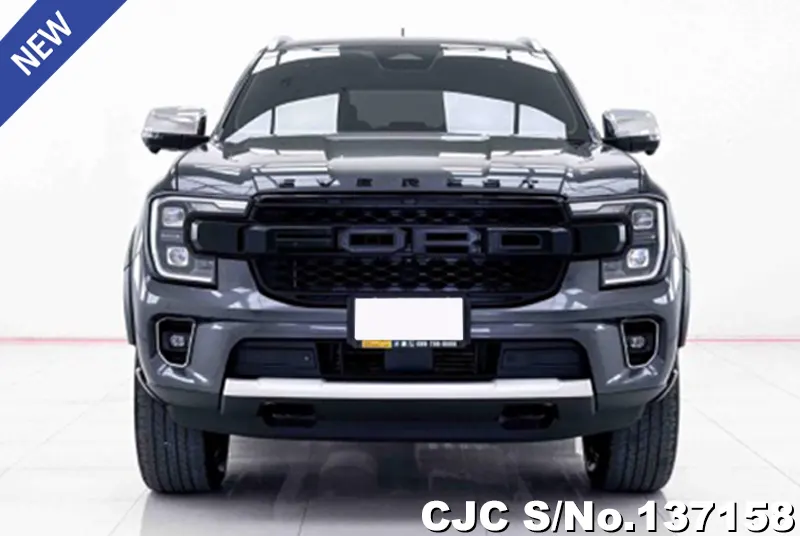 Ford Everest in Gray for Sale Image 1