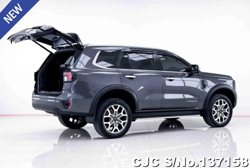 Ford Everest in Gray for Sale Image 3