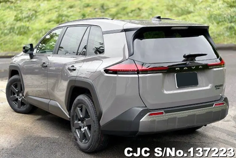 Toyota Rav4 in Gray for Sale Image 1