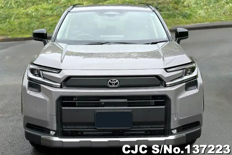 Toyota Rav4 in Gray for Sale Image 2