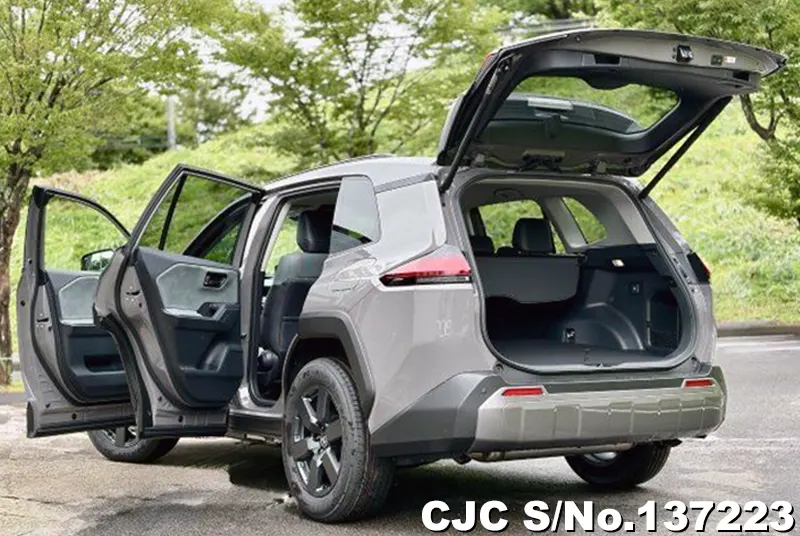 Toyota Rav4 in Gray for Sale Image 6