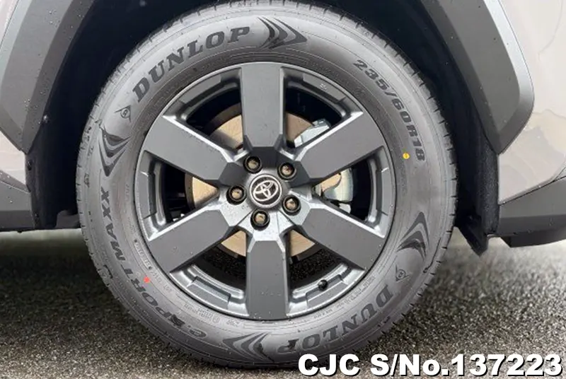 Toyota Rav4 in Gray for Sale Image 14