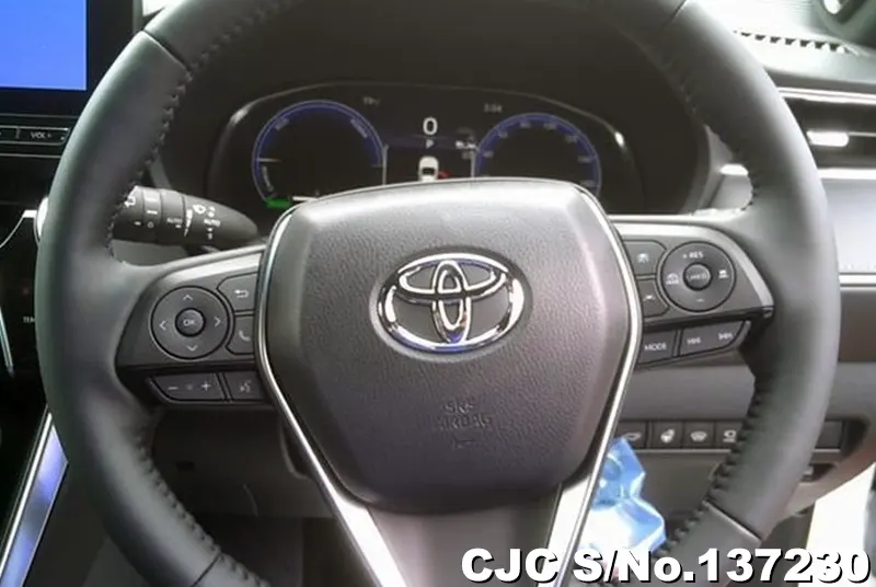 Toyota Harrier in Pearl for Sale Image 12