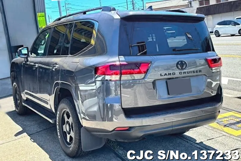 Toyota Land Cruiser in Gray for Sale Image 1