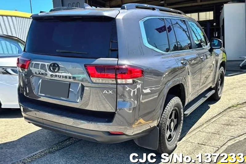Toyota Land Cruiser in Gray for Sale Image 2