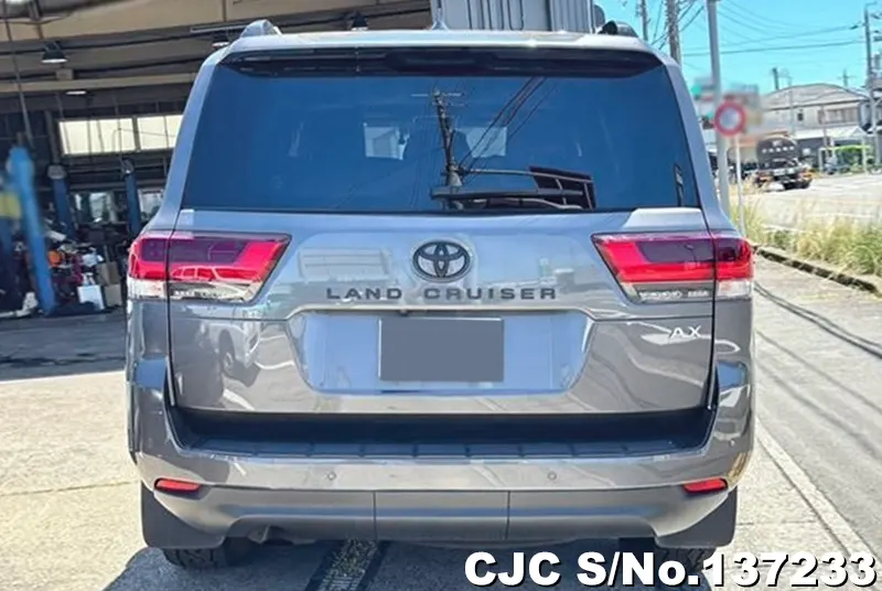 Toyota Land Cruiser in Gray for Sale Image 5