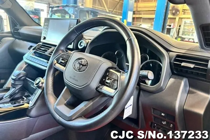 Toyota Land Cruiser in Gray for Sale Image 7