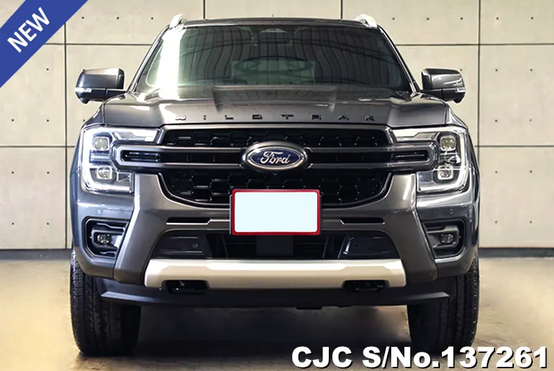 Ford Everest in Gray for Sale Image 1
