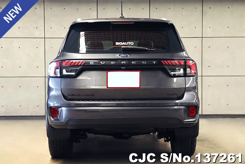 Ford Everest in Gray for Sale Image 2