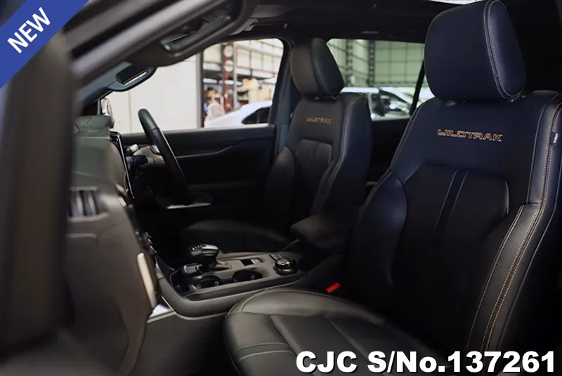 Ford Everest in Gray for Sale Image 6