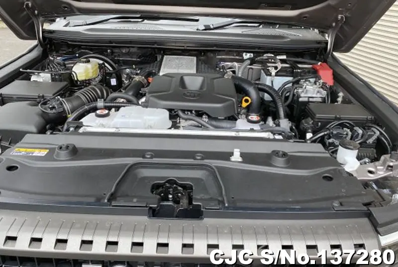 Toyota Land Cruiser 250 in Gray for Sale Image 18