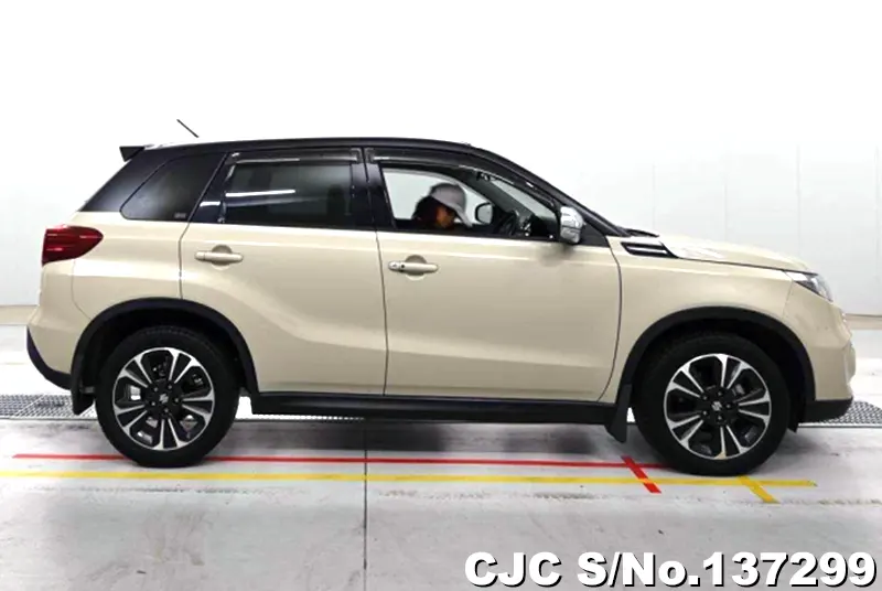 Suzuki Escudo in Beige for Sale Image 6