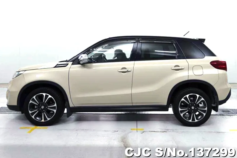 Suzuki Escudo in Beige for Sale Image 7