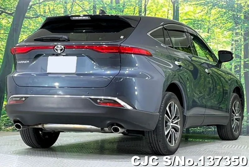 Toyota Harrier in Gray for Sale Image 2
