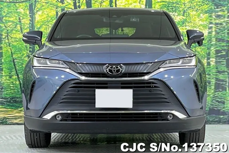 Toyota Harrier in Gray for Sale Image 4