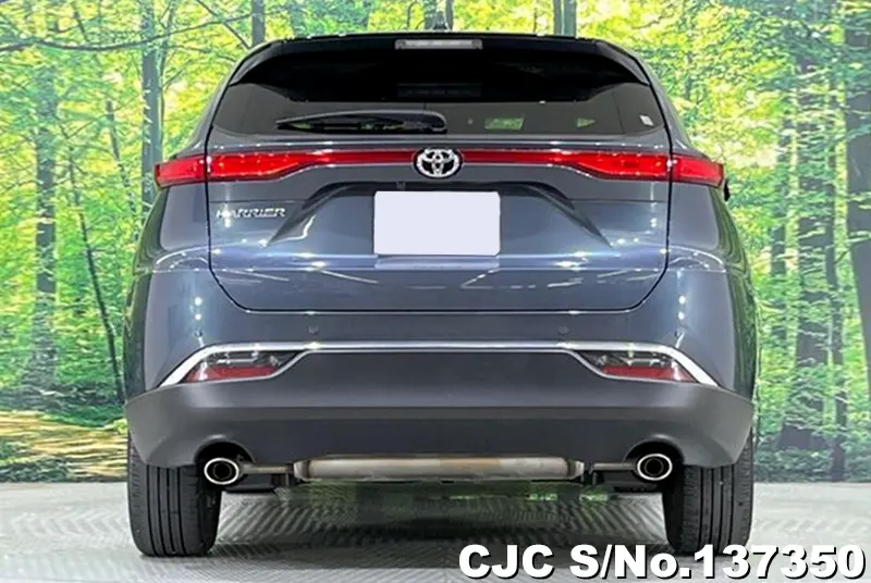 Toyota Harrier in Gray for Sale Image 5