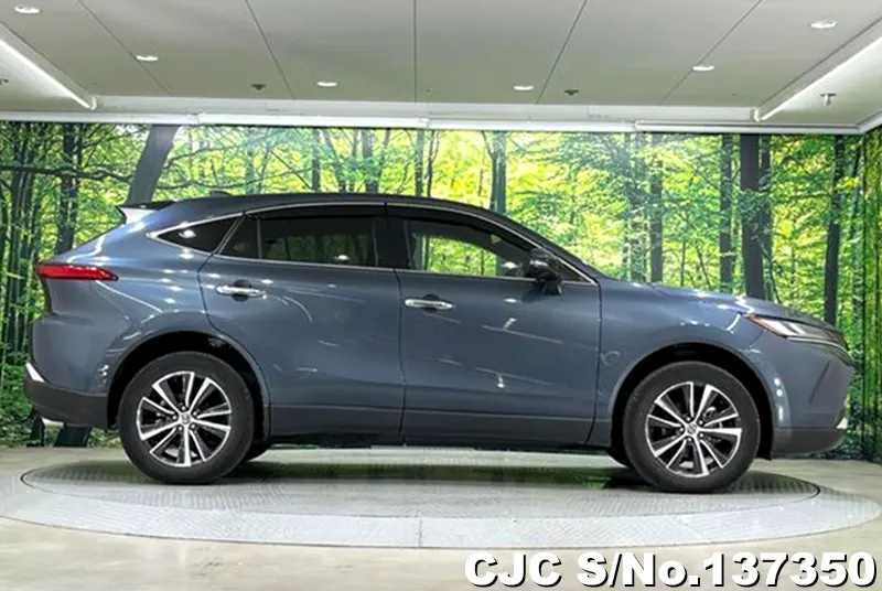 Toyota Harrier in Gray for Sale Image 6