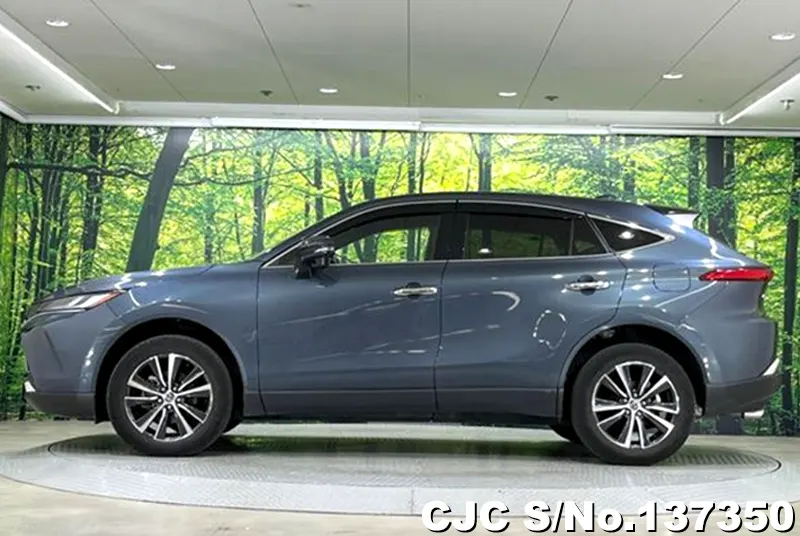 Toyota Harrier in Gray for Sale Image 7