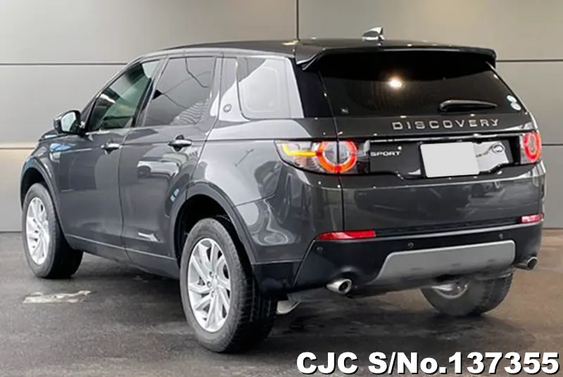 Land Rover Discovery in Gray for Sale Image 1