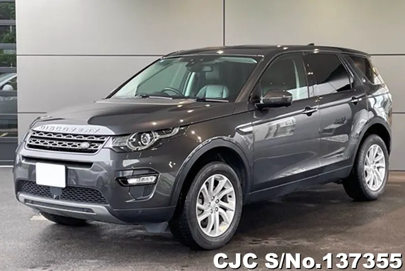 Land Rover Discovery in Gray for Sale Image 3