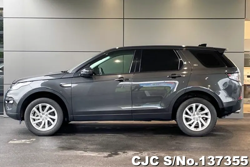 Land Rover Discovery in Gray for Sale Image 6