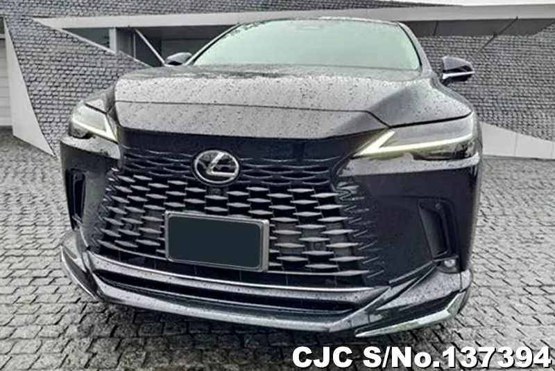 Lexus RX 350 in Black for Sale Image 2