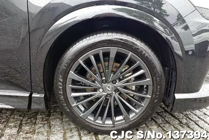 Lexus RX 350 in Black for Sale Image 13