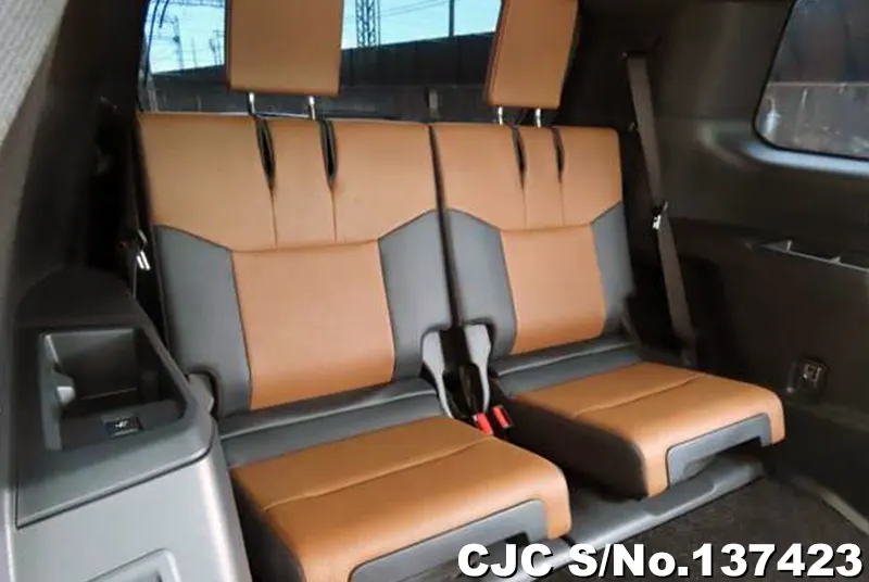 Lexus GX 550 in Pearl for Sale Image 16