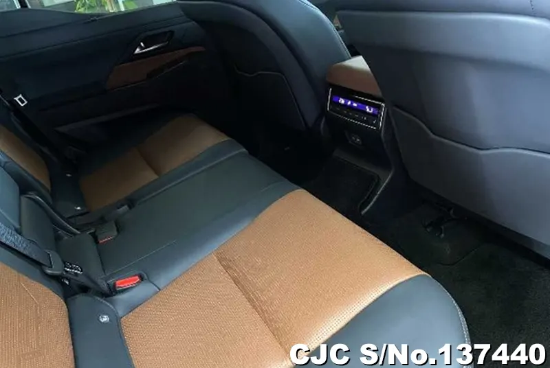 Lexus GX 550 in Pearl for Sale Image 13