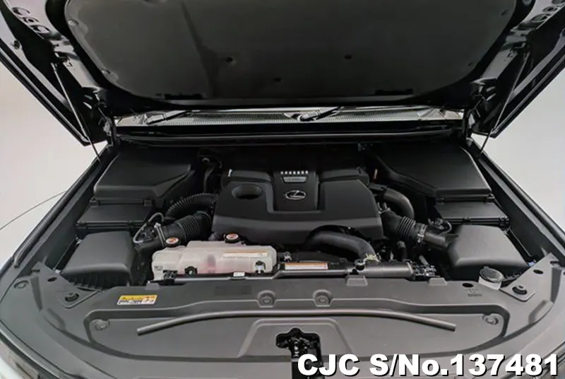 Lexus GX 550 in Black for Sale Image 17