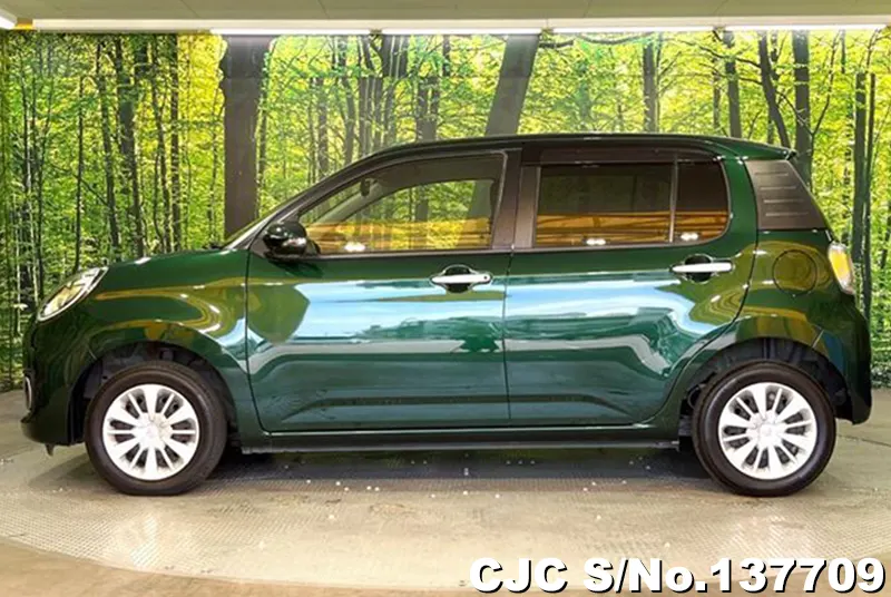 Toyota Passo in Green for Sale Image 7