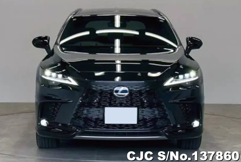 Lexus RX 500h  in Black for Sale Image 2