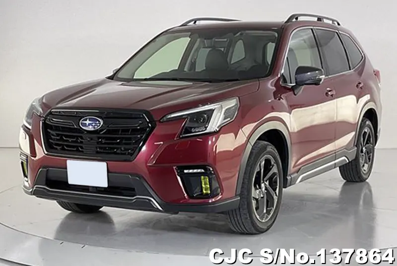 Subaru Forester in Wine for Sale Image 3
