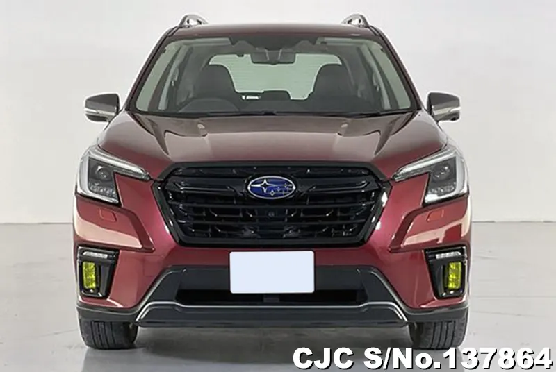 Subaru Forester in Wine for Sale Image 4