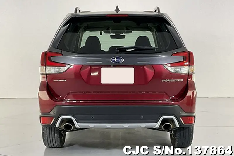 Subaru Forester in Wine for Sale Image 5
