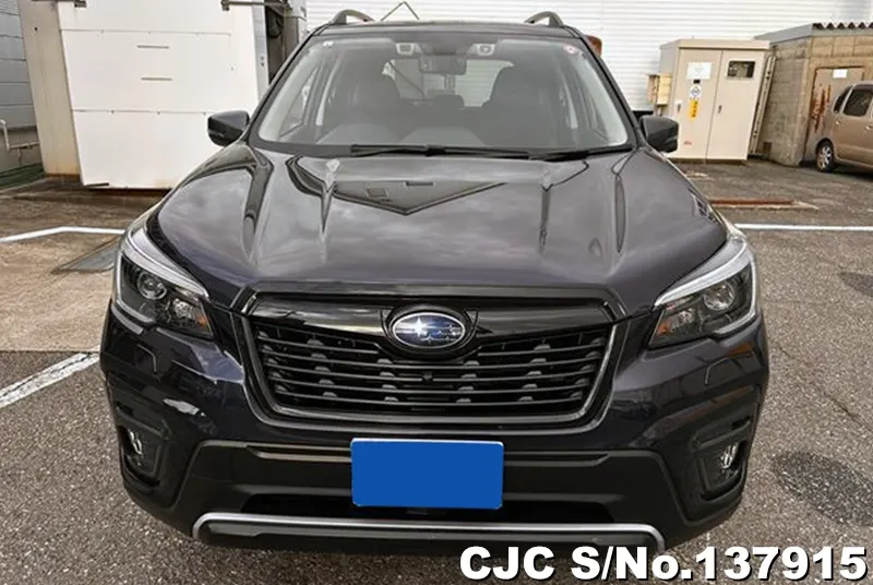 Subaru Forester in Black for Sale Image 4