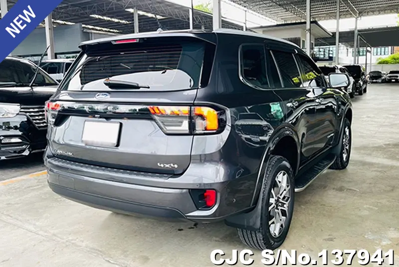 Ford Everest in Gray for Sale Image 2