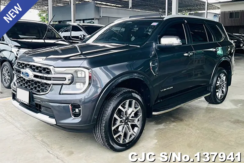Ford Everest in Gray for Sale Image 3
