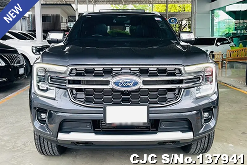 Ford Everest in Gray for Sale Image 4