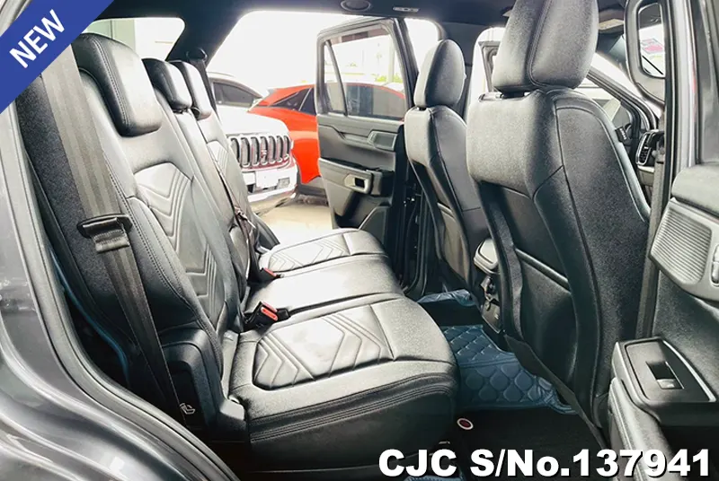 Ford Everest in Gray for Sale Image 9