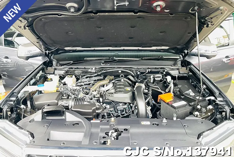Ford Everest in Gray for Sale Image 14