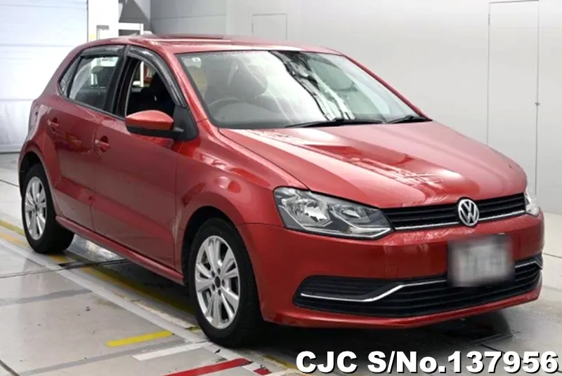 Volkswagen / Polo 2015