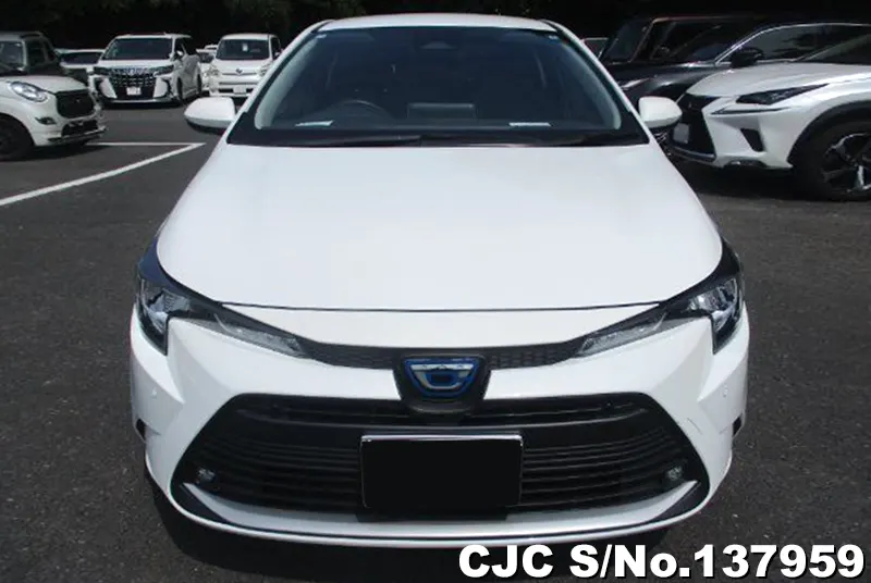 Toyota Corolla Touring in White for Sale Image 4