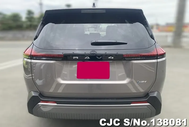 Toyota Rav4 in Brown for Sale Image 2