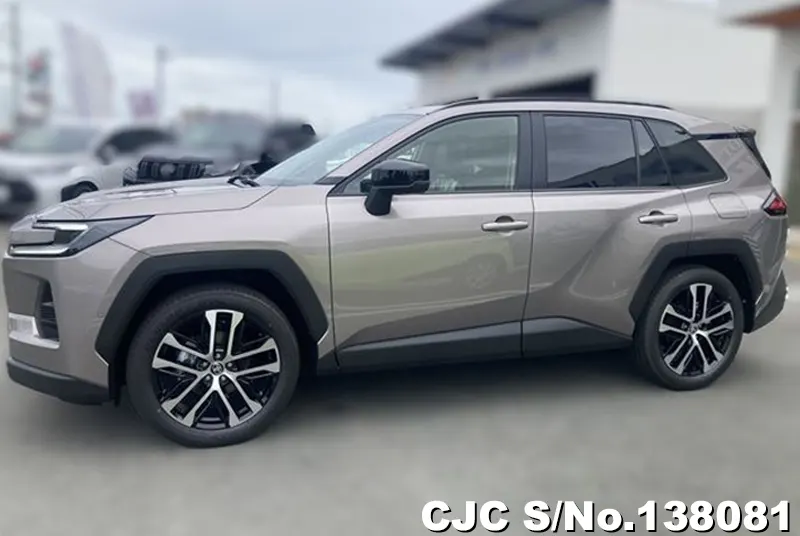 Toyota Rav4 in Brown for Sale Image 4