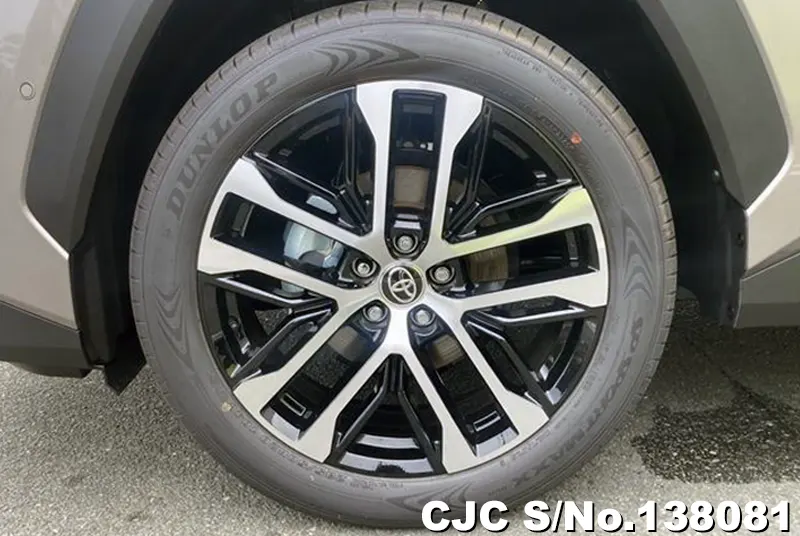 Toyota Rav4 in Brown for Sale Image 15