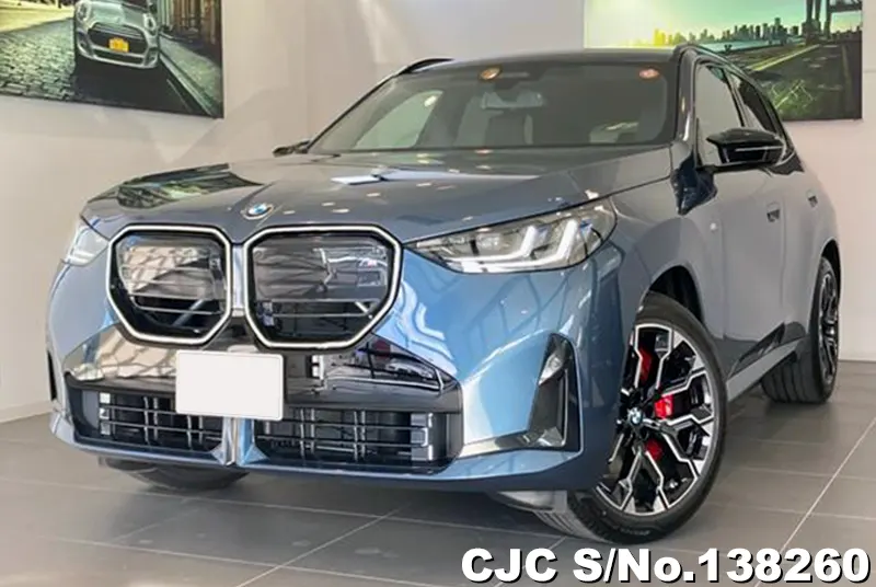 BMW X3 in Gray for Sale Image 3