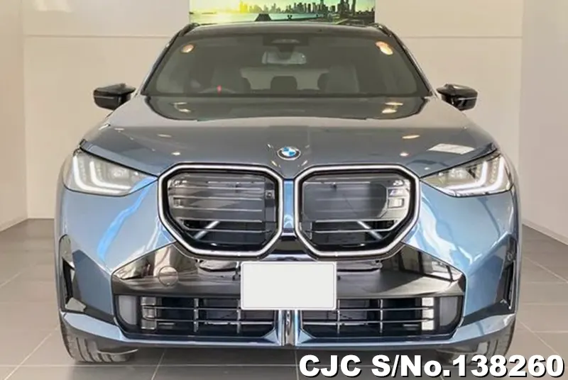 BMW X3 in Gray for Sale Image 4